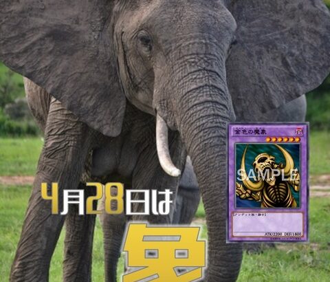 【遊戯王OCG】4月28日は象の日！公式が象の日にちなんだデッキレシピを紹介！