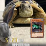 【遊戯王OCG】5月23日は世界亀の日！公式が世界亀の日にちなんだデッキレシピを紹介！