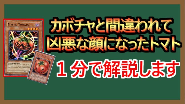 【１分解説】これが海外産のトマトです