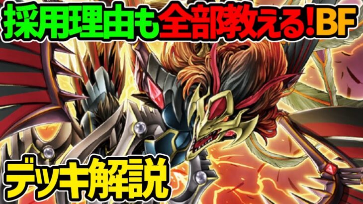 【#遊戯王】完全耐性と制圧バーンを使いこなせ！『ブラックフェザー』徹底解説＆デッキレシピ！！【#デュエダン】【BF】