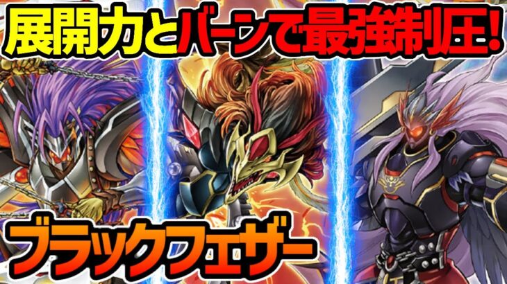 【#遊戯王】効果使うたびに700ダメージ!?驚異のバーン性能!『ブラックフェザー』対戦動画！【#デュエダン】【BF】