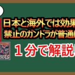 【１分解説】だったら海外ではガンドラシリーズが全部揃うな！(フラグ)