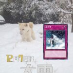 【遊戯王OCG】12月7日は大雪！公式が大雪にちなんだデッキレシピを紹介！