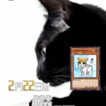 【遊戯王OCG】2月22日は猫の日！公式が猫の日にちなんだデッキレシピを紹介！