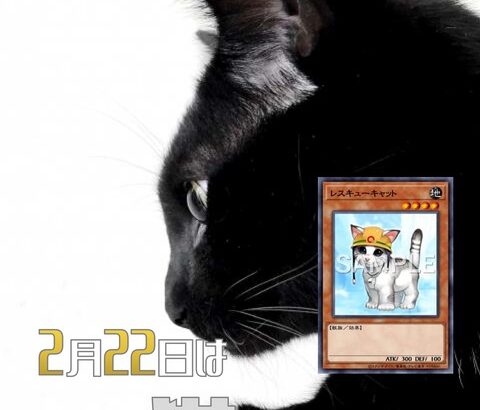 【遊戯王OCG】2月22日は猫の日！公式が猫の日にちなんだデッキレシピを紹介！