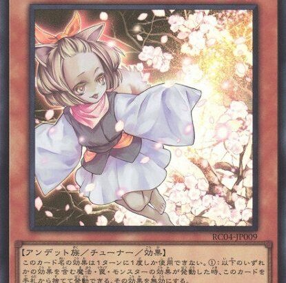 【遊戯王OCG】カモン！シングルガイ！