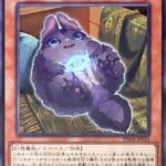 【遊戯王】幻想魔族ってなんのために生まれたの