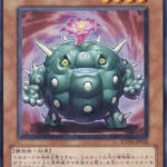 【遊戯王】フェスで「サボテン六花」が使えるのバレたか