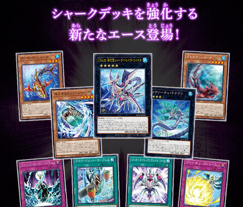 【遊戯王OCG】シャークドレイクを軸としたシャークデッキ強化！