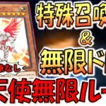 【もうこれは禁止やろ】無限ドロー&無限バーン&特殊召喚封じ！ 大天使クリスティア無限ループワンキル【遊戯王マスターデュエル】【Yu-Gi-Oh! Master Duel  FTK】