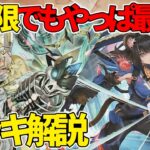 【#遊戯王】新制限でもやっぱり最強！？『K9VS』徹底解説＆デッキレシピ！！【#デュエダン】