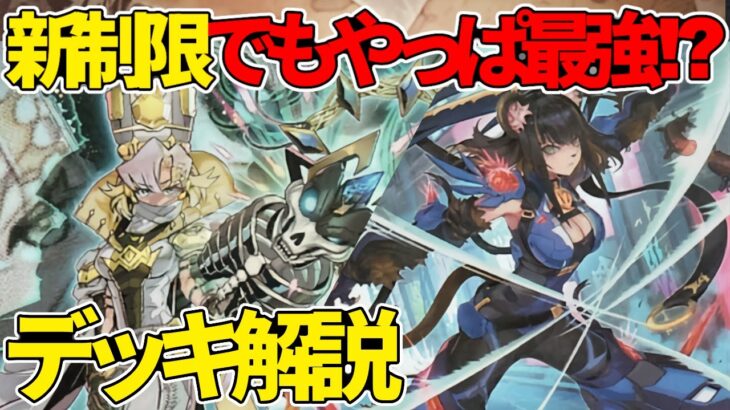 【#遊戯王】新制限でもやっぱり最強！？『K9VS』徹底解説＆デッキレシピ！！【#デュエダン】