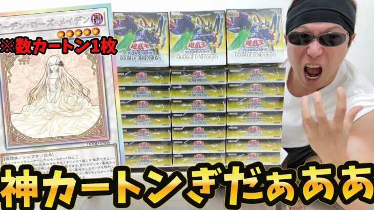 【遊戯王】新弾「DOOM OF DIMENSIONS」の鬼畜封入率で話題の幻の極秘レア「ガーデンローズメイデン」絵違い狙って１カートン開封した結果ｯｯ・・！！！！！！！！！！！！