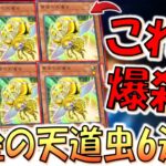 【謎のてんとう虫悪用】手札から見せるだけで回復！ 黄金の天道虫６連打で8000バーン＆死体蹴りしてみた【遊戯王マスターデュエル】【Yu-Gi-Oh! Master Duel  FTK】