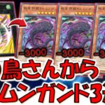 【謎の鳥さん実装】名称ターン１がないのが悪い！ 波紋鳥からヨルムンガンド3連打先攻ワンキル【遊戯王マスターデュエル】【Yu-Gi-Oh! Master Duel  FTK】