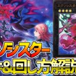【#遊戯王】万能無効を手に入れた！最強の墓地メタエクシーズテーマ！『エクソシスター』徹底解説＆デッキレシピ！！【#デュエダン】