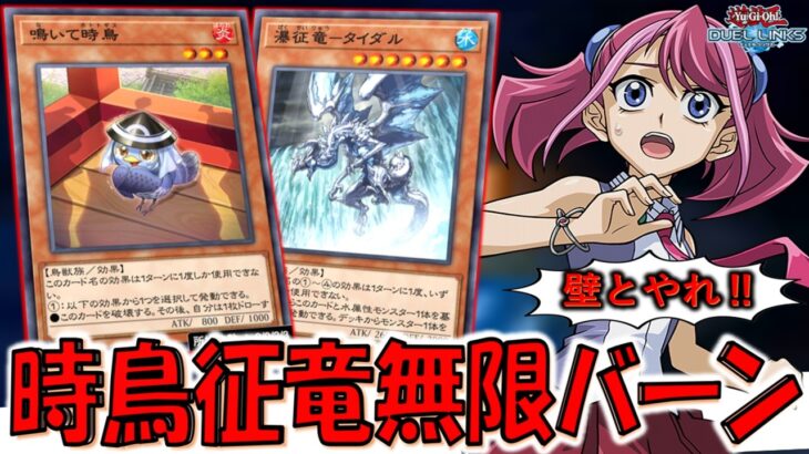 【頼む壁とやれ‼】謎のホトトギスが隠れぶっ壊れ！ 時鳥征竜無限バーン先攻ワンキル【遊戯王デュエルリンクス】【Yu-Gi-Oh! DUEL LINKS FTK】