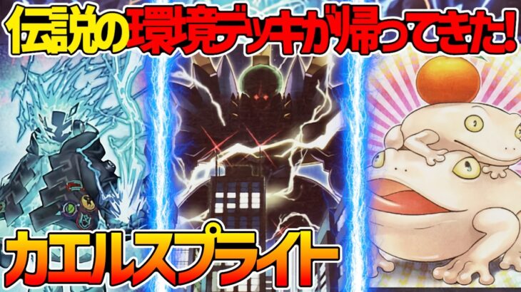 【#遊戯王】神鳴り使いはブリッツクリークだけじゃない！最強環境デッキが帰ってきた！『カエルスプライト』対戦動画！【#デュエダン】
