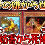 【お前性格悪いやろ？】新手の嫌がらせ！ 霞の谷の巨神鳥で無限妨害しながらビッグバンガールで死体蹴り先攻ワンキル【遊戯王マスターデュエル】【Yu-Gi-Oh! Master Duel  FTK】